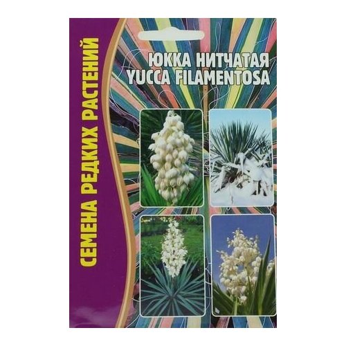     (Yucca filamentosa) (15 )