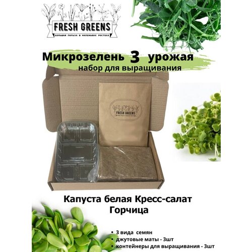      Fresh Greens (  - )