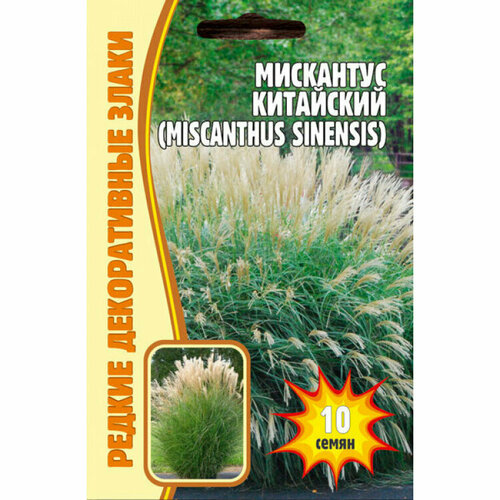     (Miscanthus Chinensis) (0.01 )