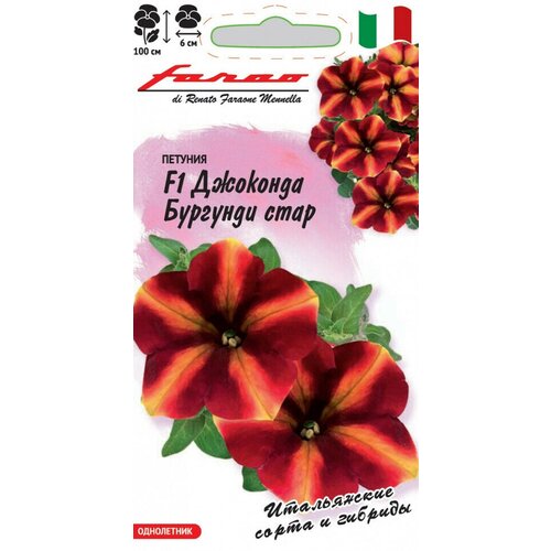 ���� ������ ������� ��������� (��������) �������� �������� ���� F1, 10��, ������, Farao