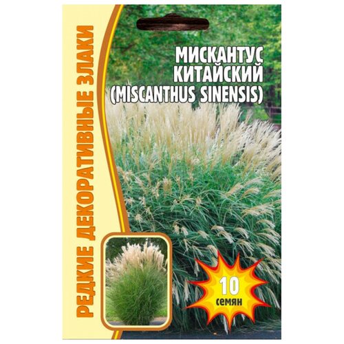     (Miscanthus Chinensis) (0.01 )