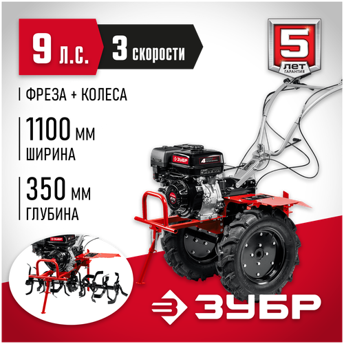 ���� ���� 9 �. �, �������� � ��� (���-600)